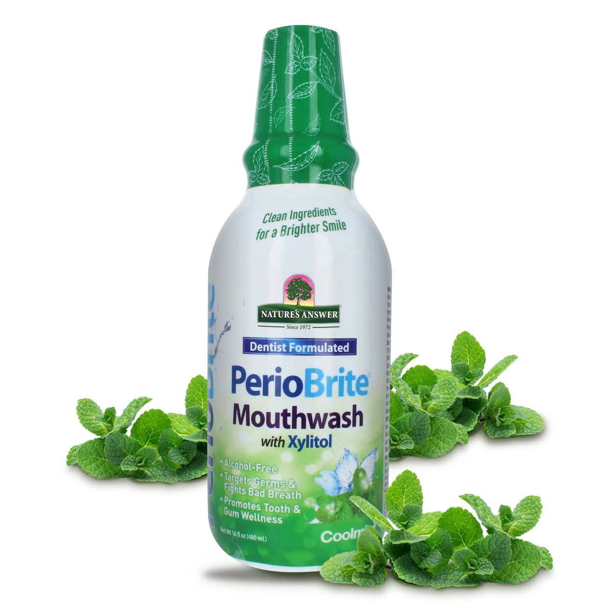 Nature’s Answer PerioWash Mouthwash Alcohol-Free Cool Mint – 16 fl oz | Fluoride Free | Natural Breath Freshener | Stain Remover | Natural Teeth Whitener (Pack of 1)