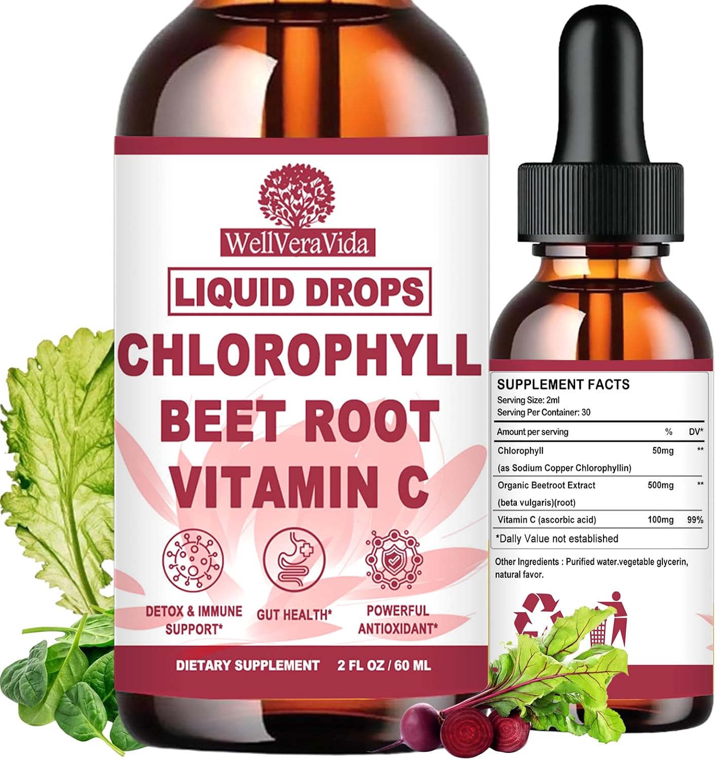 Liquid Chlorophyll Drops, Chlorophyll Supplements for Women & Men | Natural Liquid Chlorophyll w. 500mg Beetroot & Vit C for Internal Freshness, Antioxidant Cleanse, Skin, Energy & Circulation