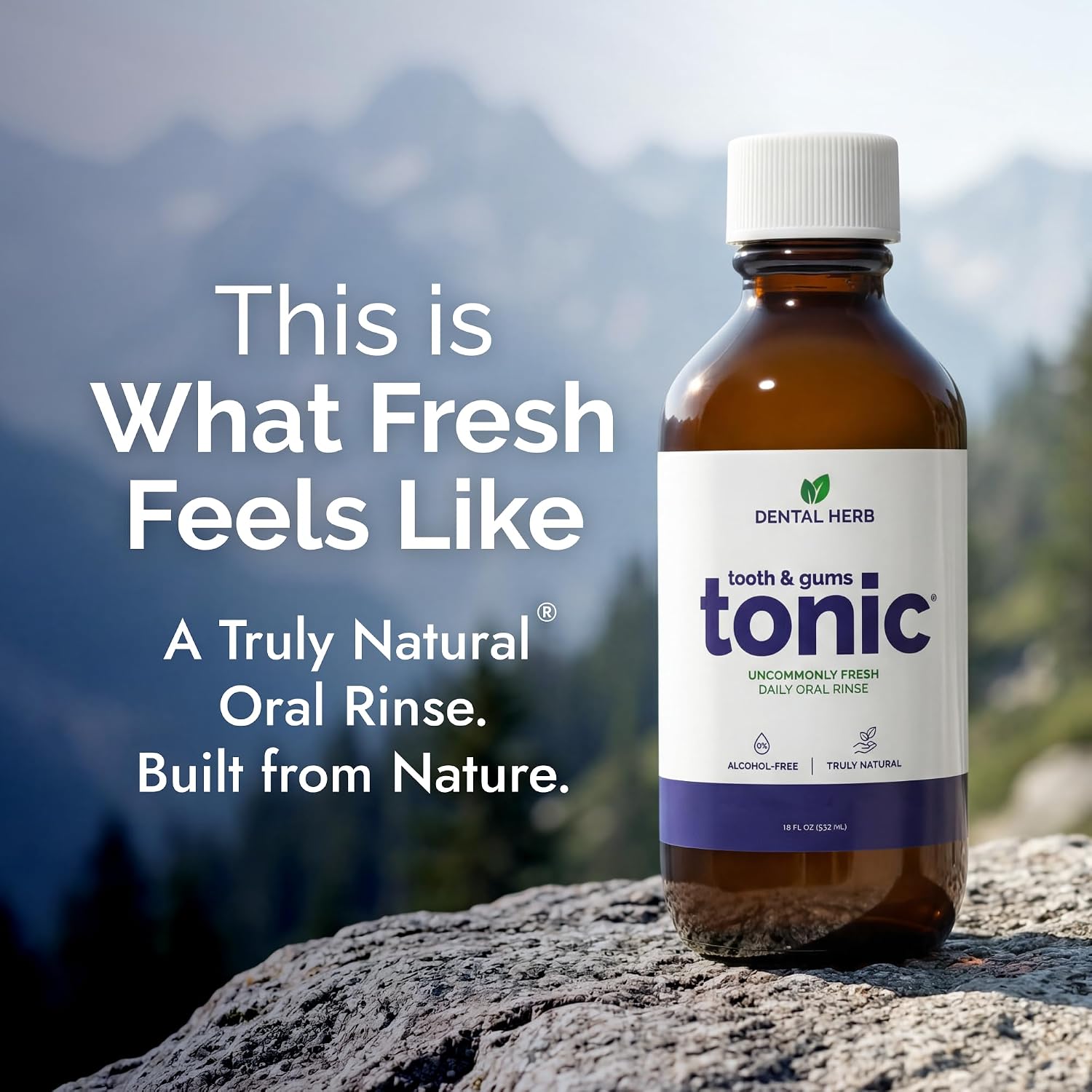 Dental Herb Company Tooth & Gums Tonic Mouthwash Herbal Oral Rinse 18oz (2)