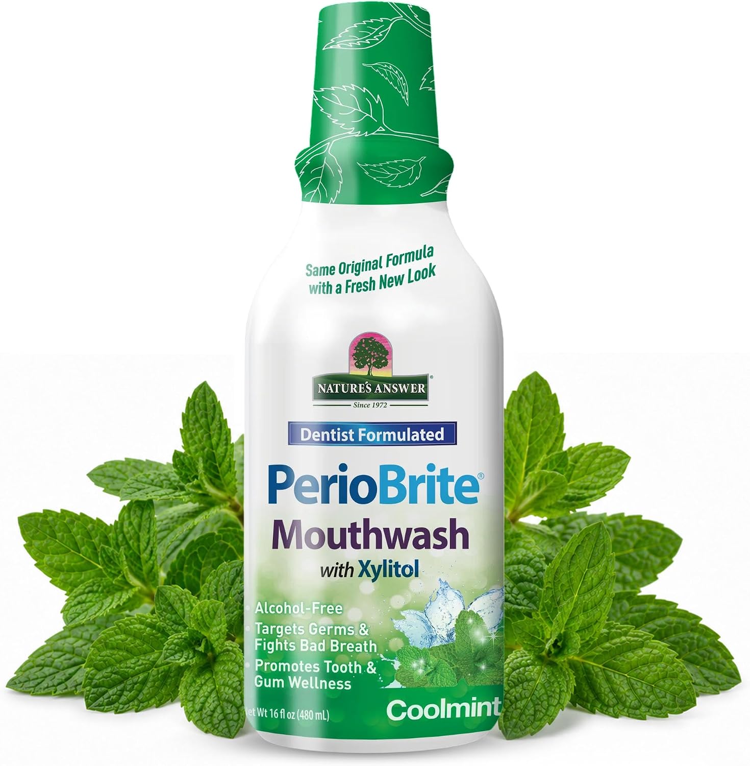 Nature’s Answer PerioBrite Mouthwash Alcohol-Free Cool Mint – 16 fl oz | Fluoride Free | Natural Breath Freshener | Stain Remover | Natural Teeth Whitener