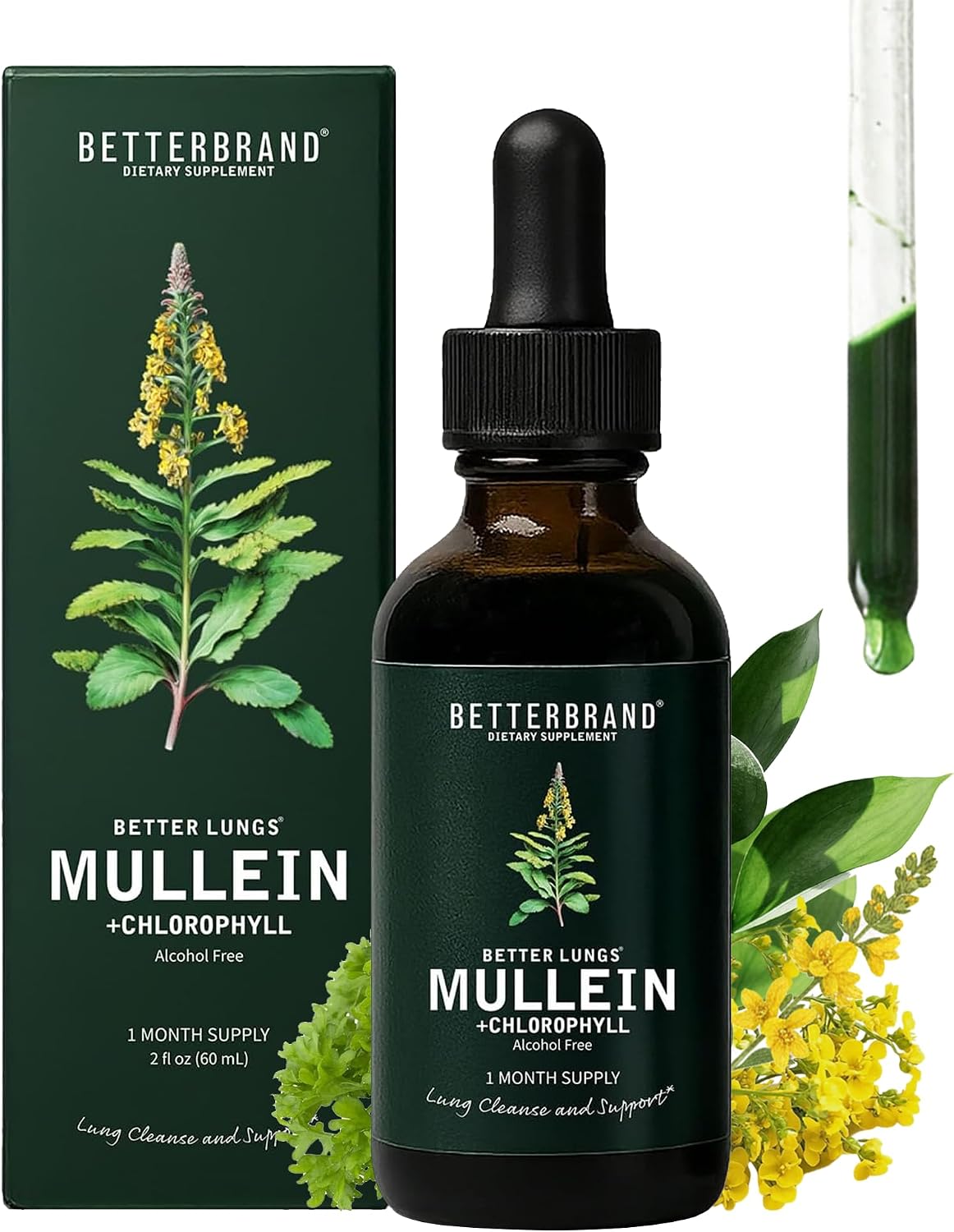 Betterbrand Mullein Drops, Alchohol-Free Lung Detox with Chlorophyll | 10:1 Mullein Leaf Tincture, Lung Cleanse, Long-Term Lung & Respiratory Health, Mullein Drops Supplement, Improved Airflow