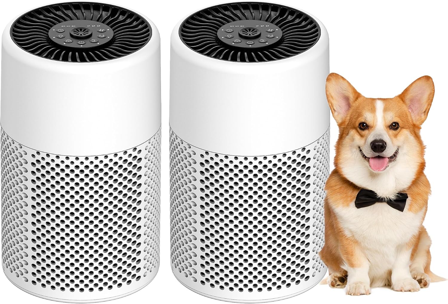 Air Purifiers for Bedroom, Dorm Room, True HEPA Filter for Smoke, White | Small Air Purifier for Wildfire Smoke, Dust, Pet Dander, 24dB Quiet Sleep Mode with Night Light, Fragrance Sponge, 2 Pack