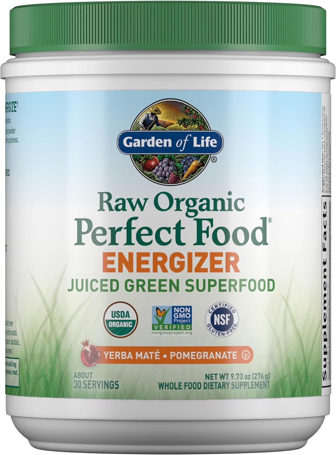 Garden of Life RAW Organic Perfect Food Energizer Powder, 30 Servings